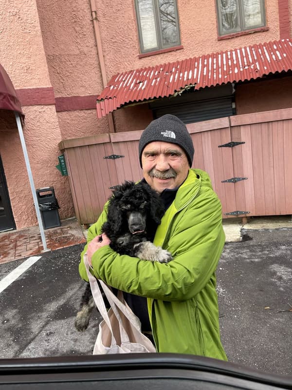 Customer photo of Poodle, Standard puppy from Gary G.