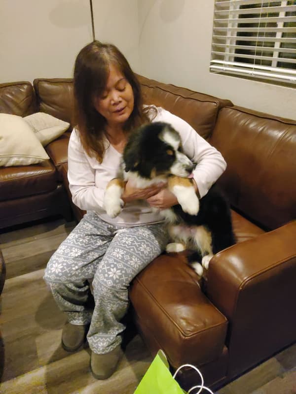 Customer photo of Australian Mountain Dog puppy from Catherine S.