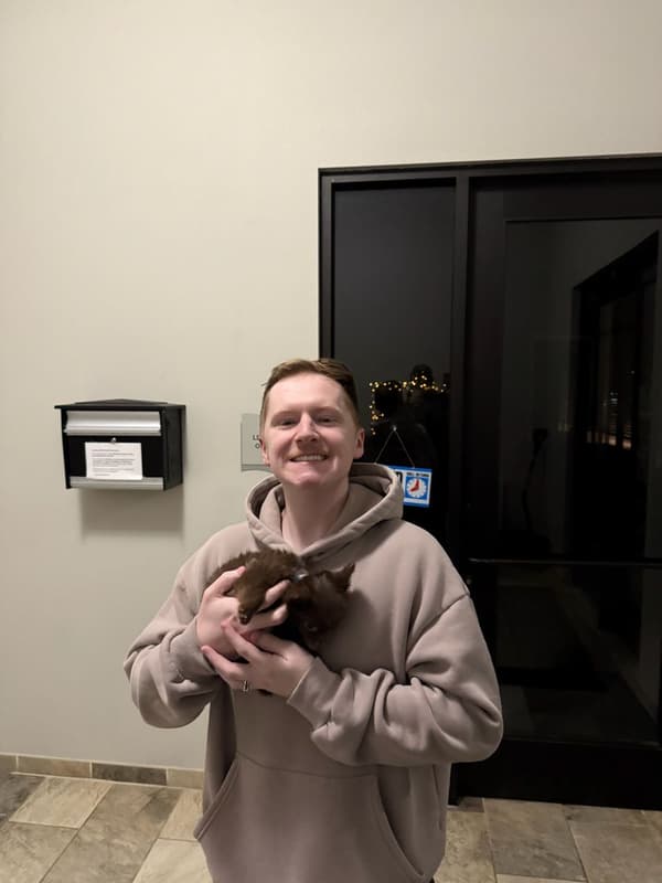 Customer photo of Chihuahua puppy from Devon O.