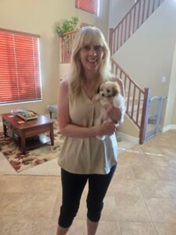 Customer photo of Havanese puppy from Deanna M.