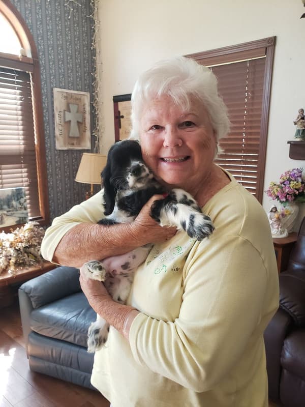 Customer photo of Cocker Spaniel puppy from Gloria S.