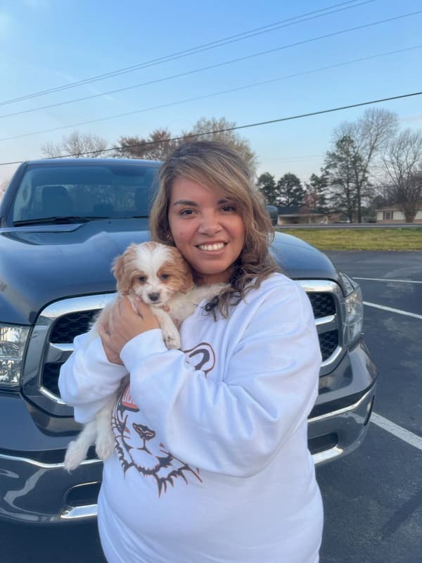 Customer photo of Cavapoo puppy from Drea M.