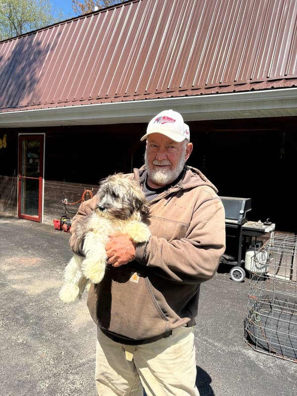 Customer photo of Havanese puppy from John L.