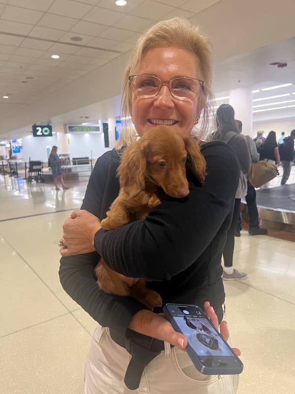 Customer photo of Dachshund, Mini puppy from Kimberly W.