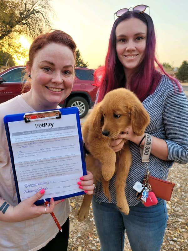 Customer photo of Golden Retriever puppy from Christopher N.