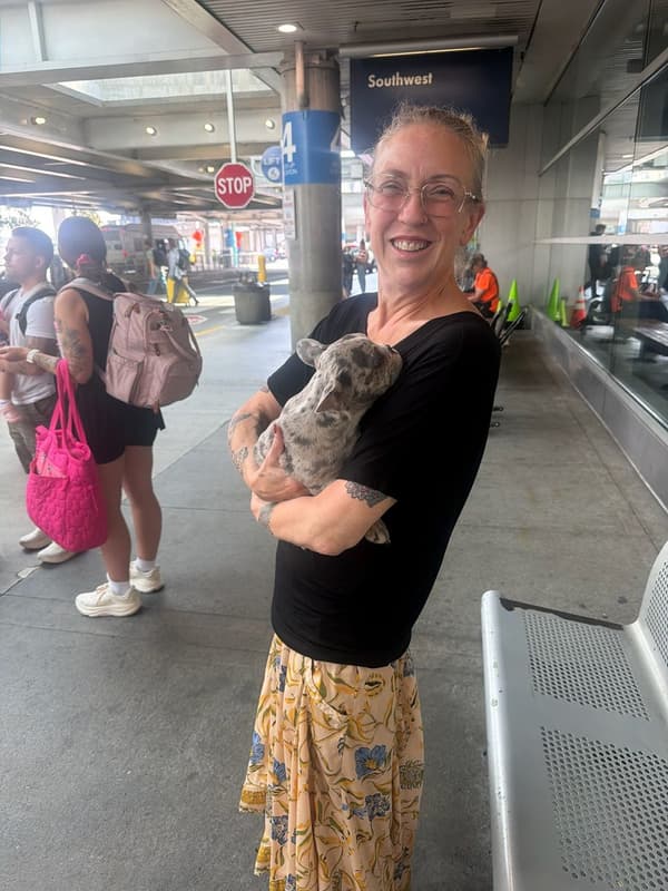 Customer photo of French Bulldog puppy from Lori W.