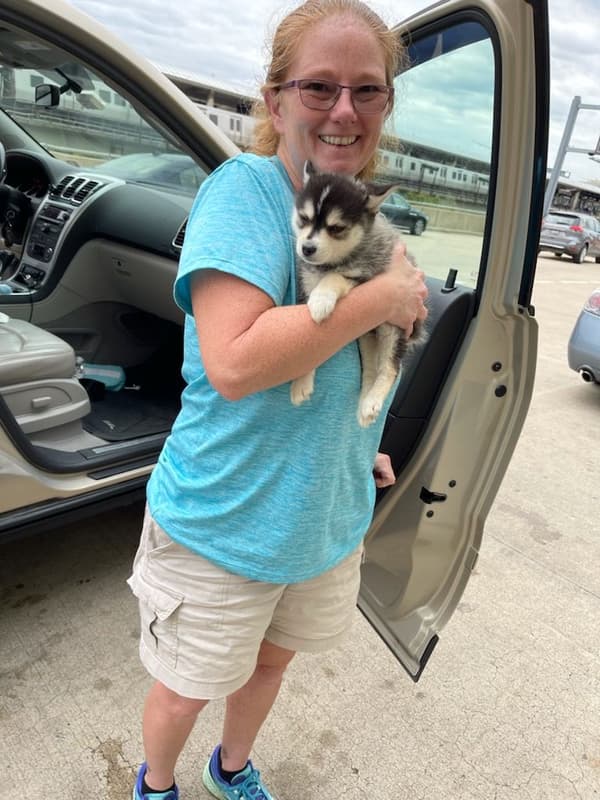 Customer photo of Pomsky puppy from Rachel W. 