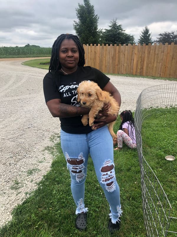 Customer photo of Goldendoodle, Mini puppy from Lanetta G.