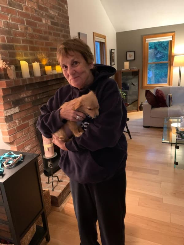 Customer photo of Goldendoodle, Mini puppy from Dianne O.