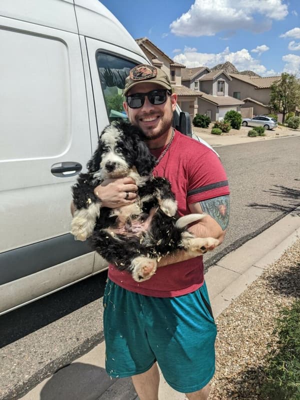 Customer photo of Bernedoodle puppy from Ben P.