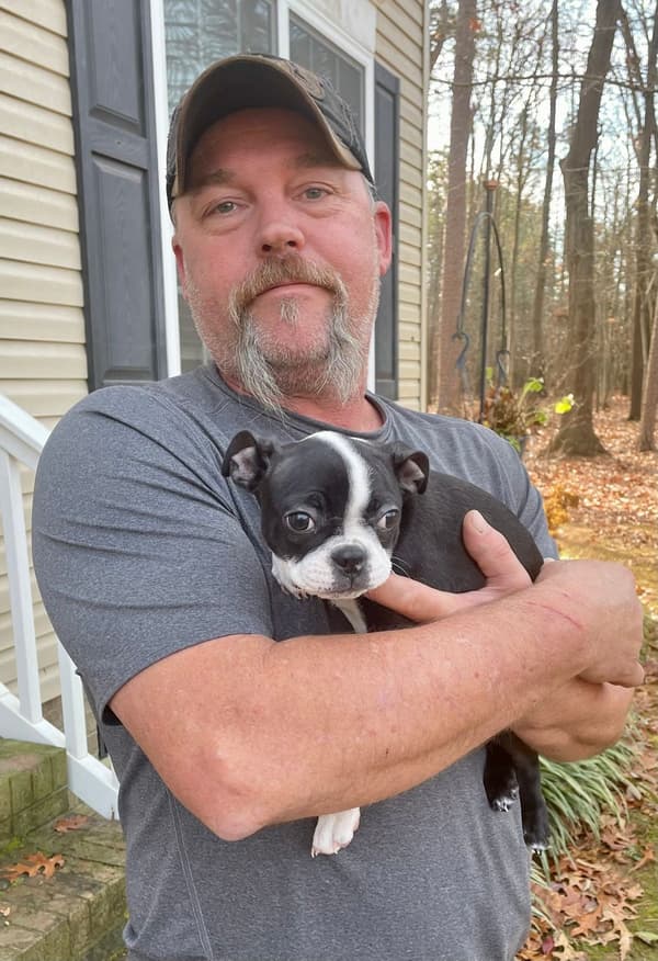Customer photo of Boston Terrier puppy from Christopher H. 
