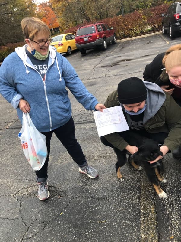 Customer photo of Australian Shepherd puppy from Elizabeth B.