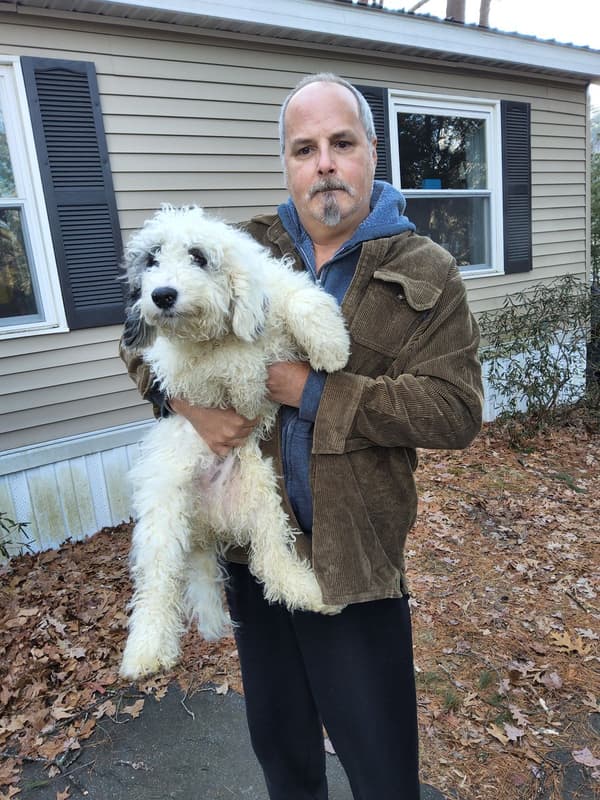 Customer photo of Bernedoodle, Mini puppy from Todd C. 