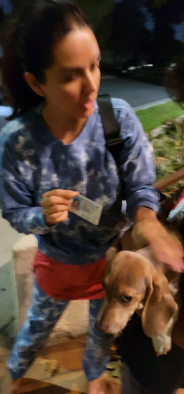 Customer photo of Beagle puppy from Michelle K.