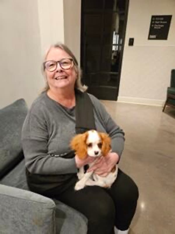 Customer photo of Cavalier King Charles Spaniel puppy from Jacqueline J.
