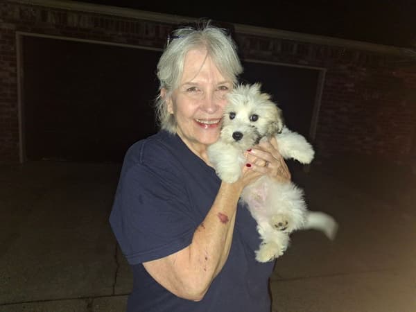 Customer photo of Coton De Tulear puppy from Linda L.