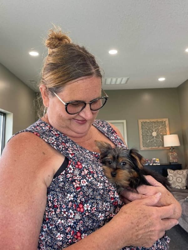 Customer photo of Yorkshire Terrier - Yorkie puppy from Pamela E.
