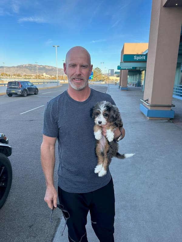 Customer photo of Bernedoodle puppy from Shawn K.