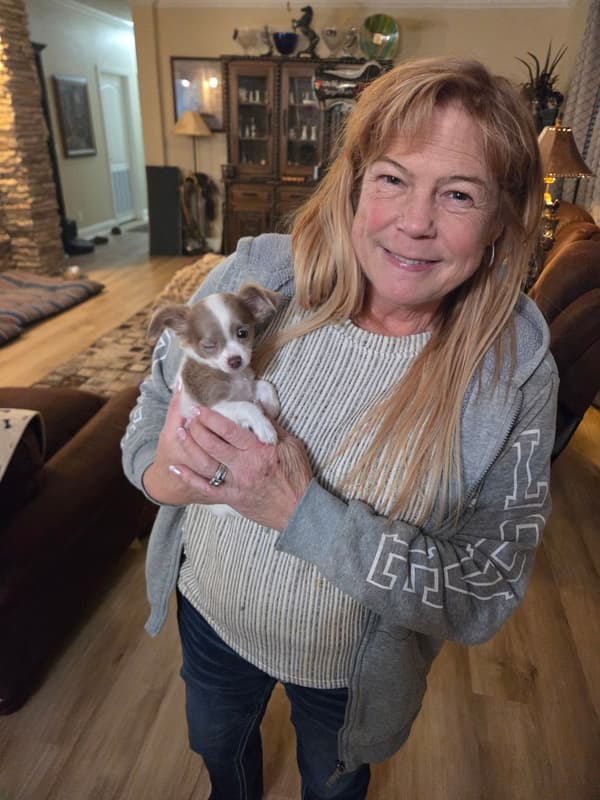 Customer photo of Chihuahua puppy from Kimberly W.