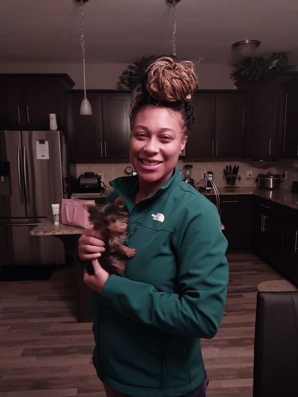 Customer photo of Yorkshire Terrier - Yorkie puppy from Awsha W.