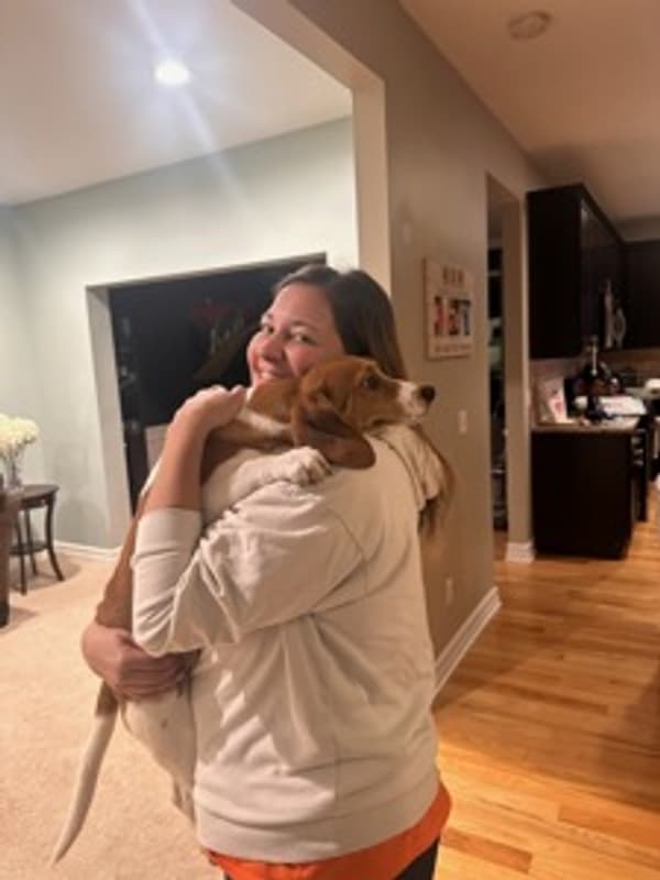 Customer photo of Beagle puppy from Tara S.