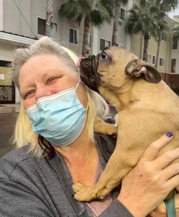 Customer photo of French Bulldog puppy from Darla H.