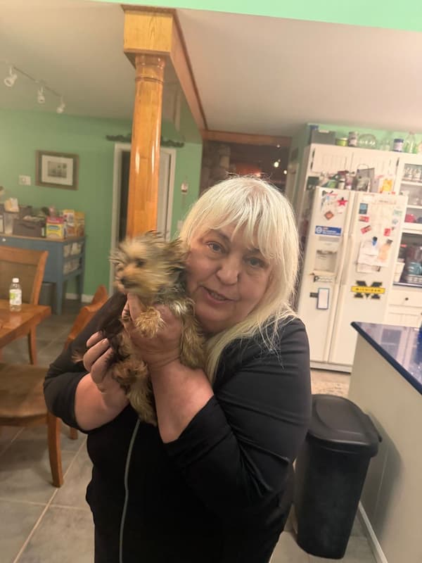 Customer photo of Yorkshire Terrier - Yorkie puppy from Susan C.