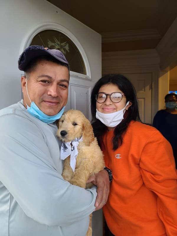 Customer photo of Labradoodle puppy from Donna D.