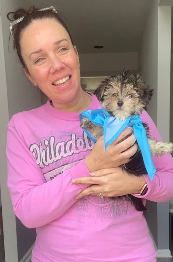 Customer photo of Morkie / Yorktese puppy from Pizarro Family
