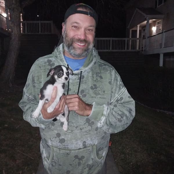 Customer photo of Chihuahua puppy from Joseph B.