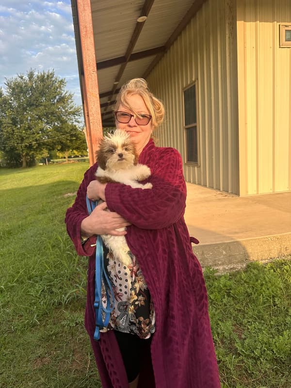 Customer photo of Shih Tzu puppy from Karla K.