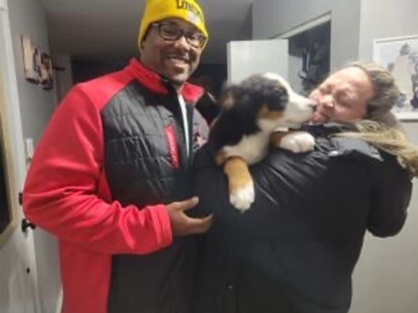 Customer photo of Bernese Mountain Dog puppy from Adrian J.