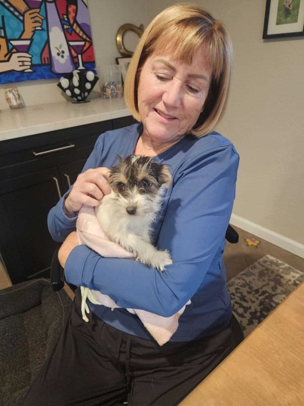 Customer photo of Yorkiepoo - Yorkie Poo puppy from Sally B.