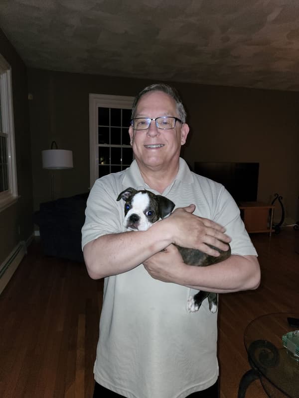 Customer photo of Boston Terrier puppy from Ronald B.