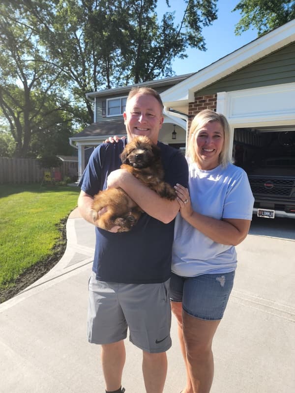 Customer photo of Soft Coated Wheaten Terrier puppy from Beth E.