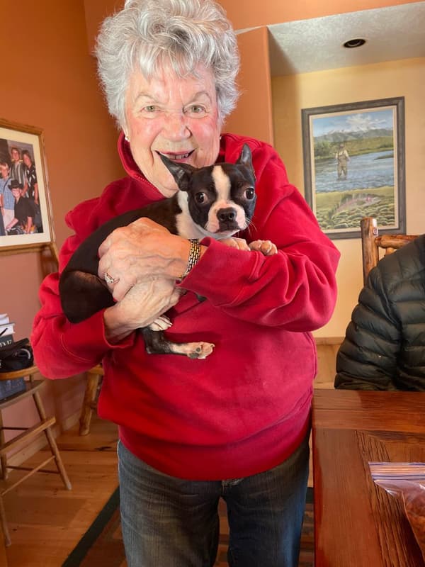 Customer photo of Boston Terrier puppy from Jan B.