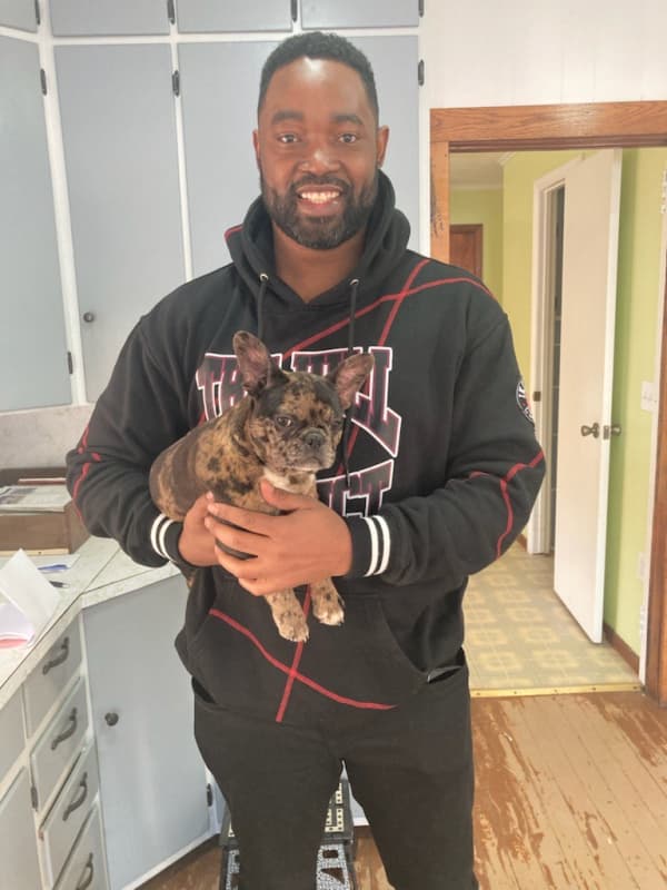 Customer photo of Frenchton puppy from Ron C.