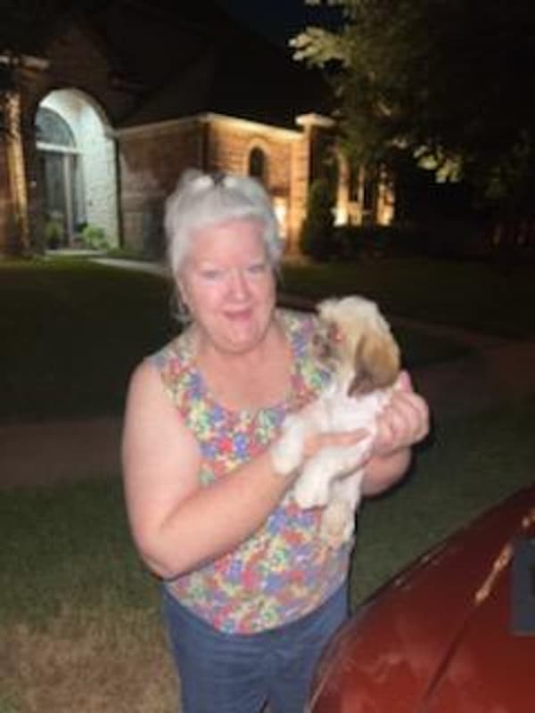Customer photo of Shih Tzu puppy from Anita P.