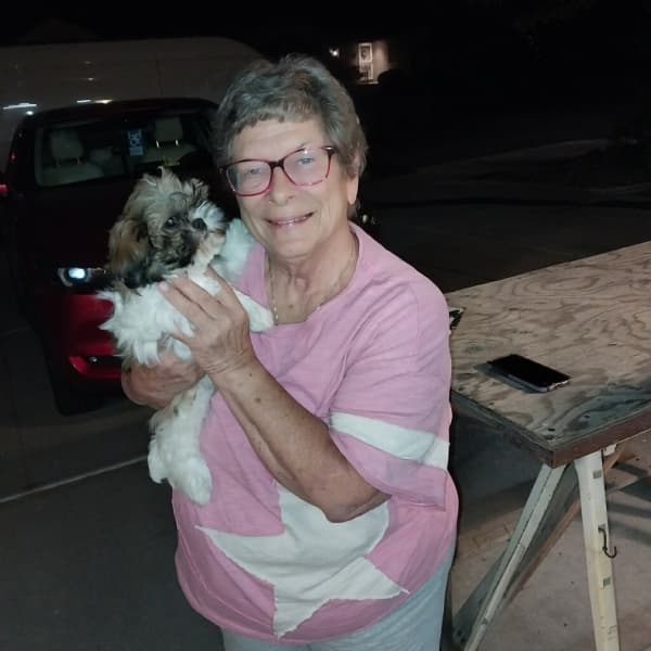 Customer photo of Shih Tzu puppy from Phyllis M.
