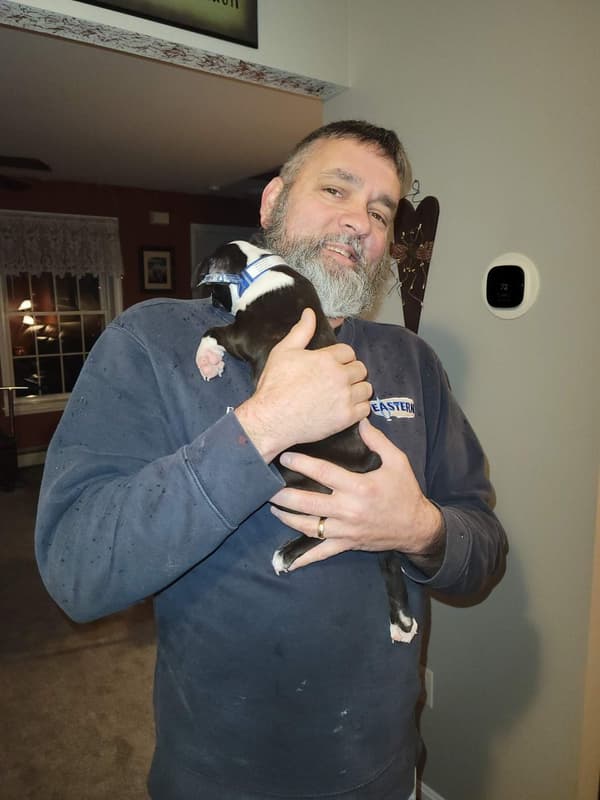 Customer photo of Boston Terrier puppy from Brian V.