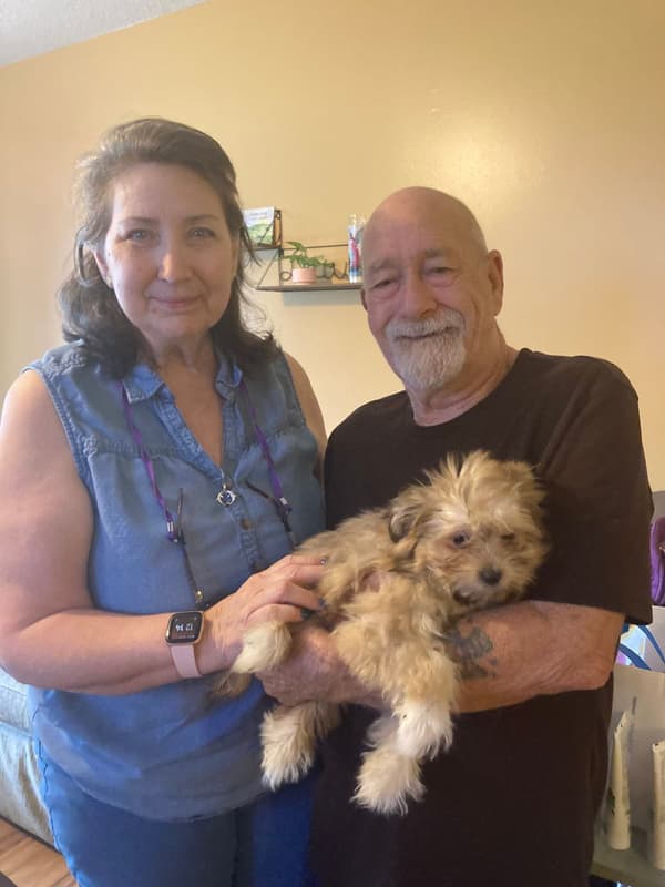 Customer photo of Mal-Shi - Malshi puppy from Jerry M.