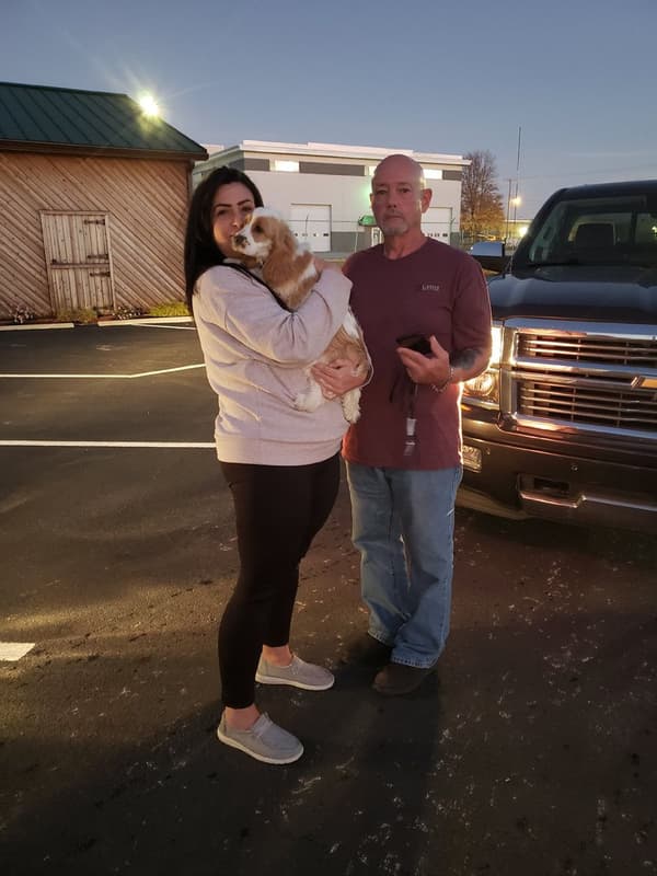 Customer photo of Cocker Spaniel puppy from Ken B.