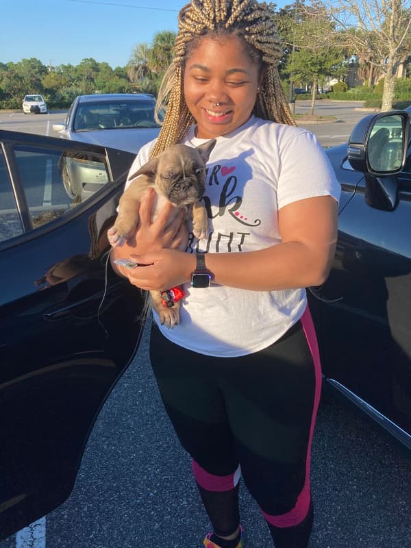 Customer photo of French Bulldog puppy from Alexus B.