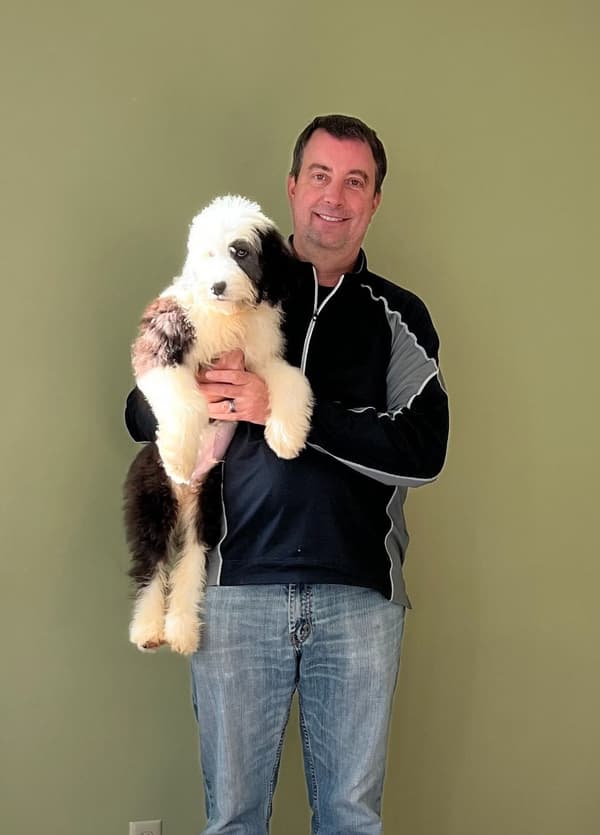 Customer photo of Sheepadoodle puppy from Tim W.