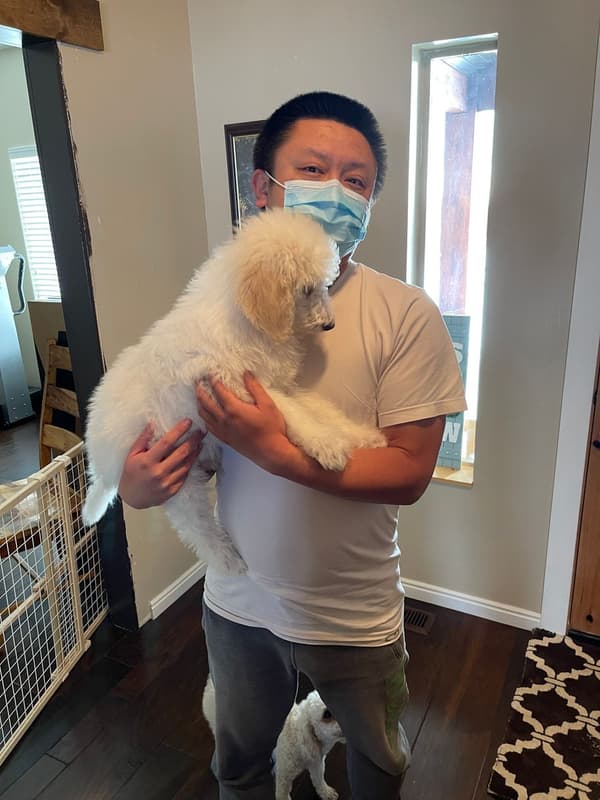 Customer photo of Poodle, Standard puppy from Renee R.