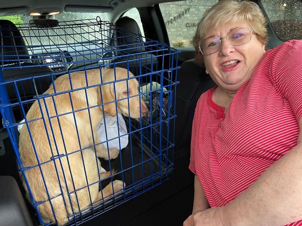 Customer photo of Labrador Retriever puppy from Dee S.