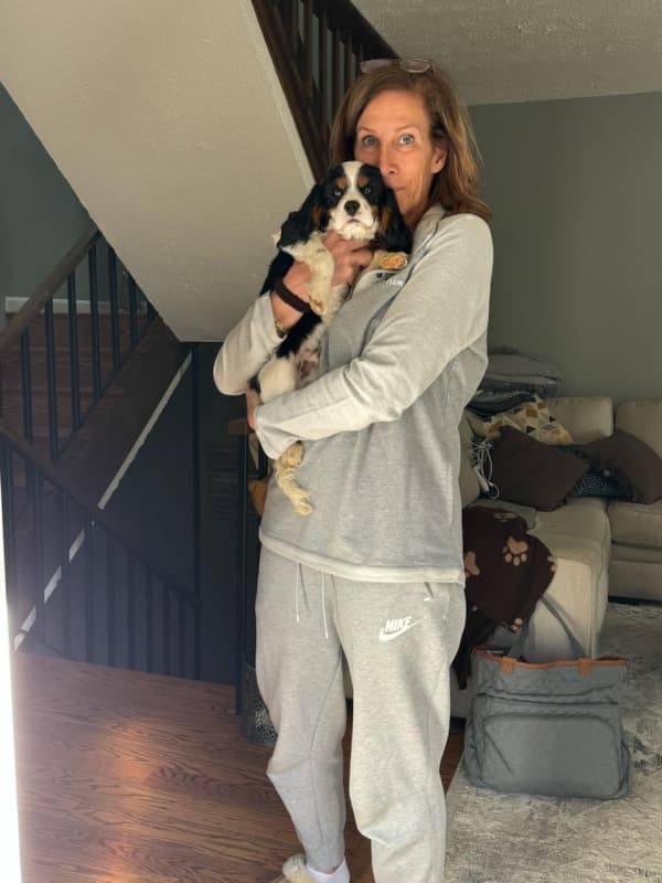 Customer photo of Cavalier King Charles Spaniel puppy from Elaine V.