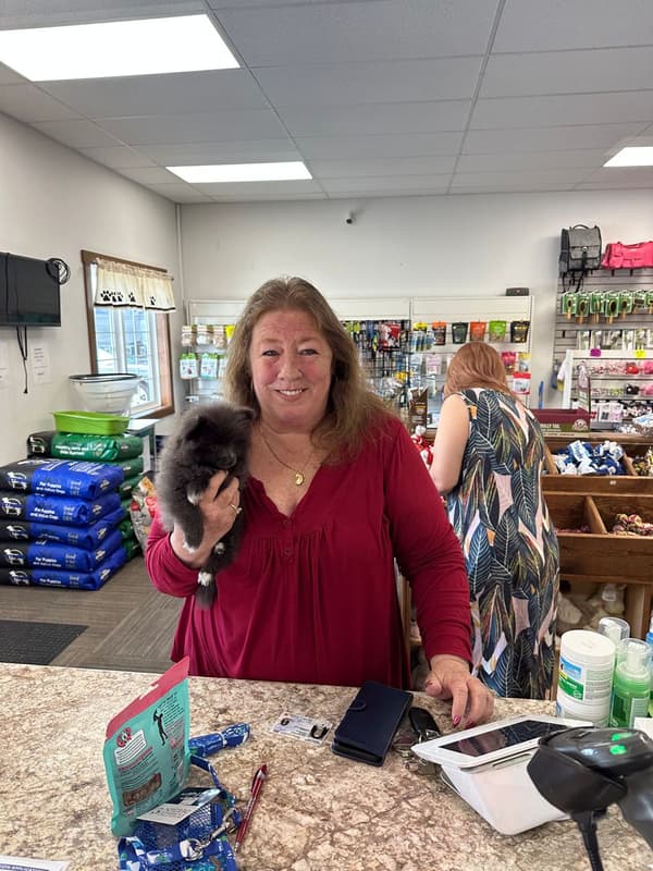 Customer photo of Pomeranian puppy from Aida S. 