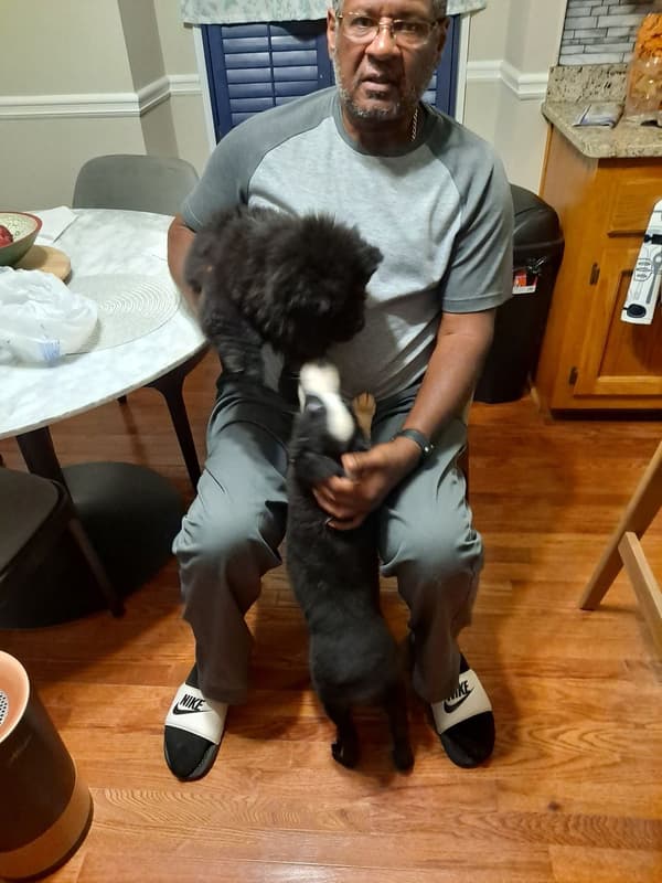 Customer photo of Chow Chow puppy from Cheryl S. 