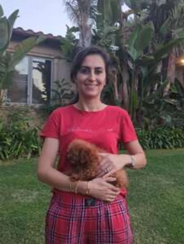 Customer photo of Poodle, Miniature puppy from Shahram F.